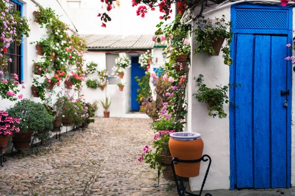 Ofertas La Luz Más Barata en Andalucía