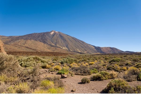 La Luz Más Barata en Las Islas Canaria