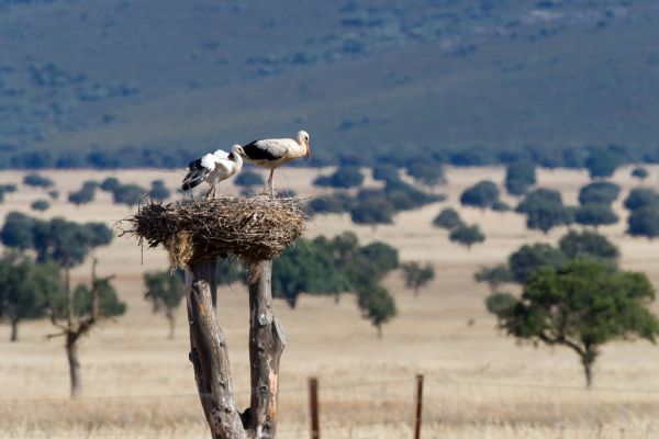 Tarifas de Luz y Gas Baratas en Castilla La Mancha