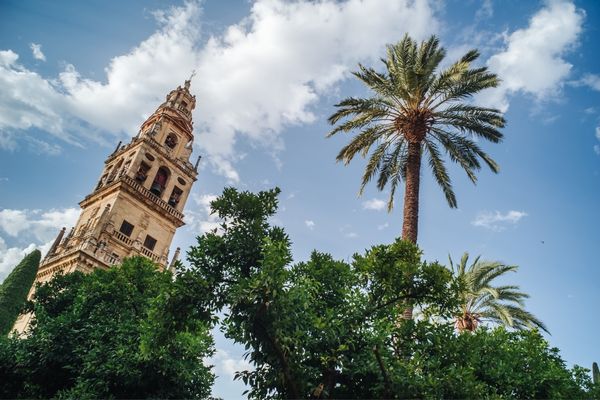Tarifas de La Luz Más Barata en Córdoba