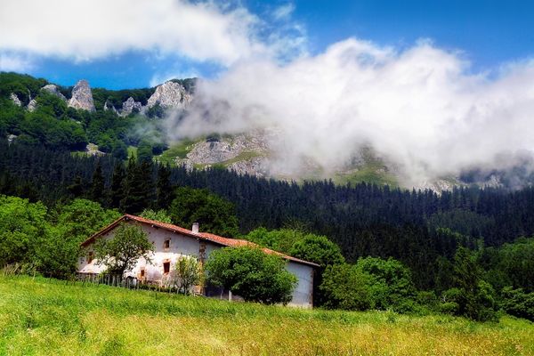 Mejores Ofertas con La Luz Más Barata en el País Vasco Euskadi