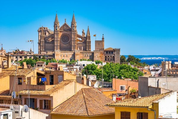 Todas las ofertas de luz y gas en Palma de Mallorca
