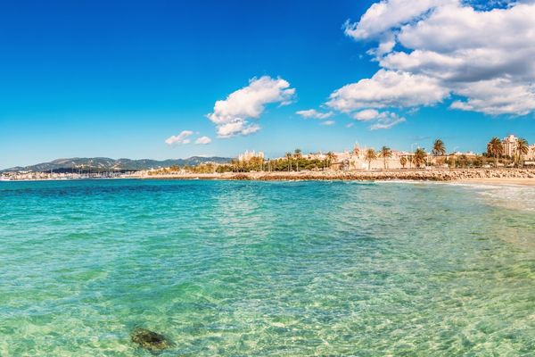 Máximo Ahorro con La Luz Más Barata en Palma de Mallorca